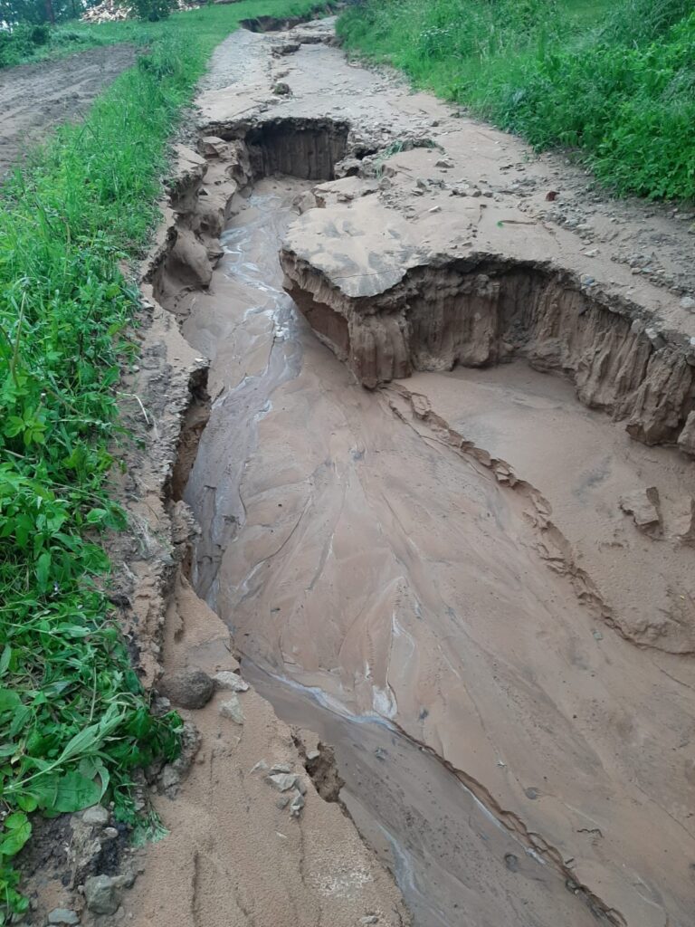 Dzirkstele.lv raksta attēla aizvietotājs