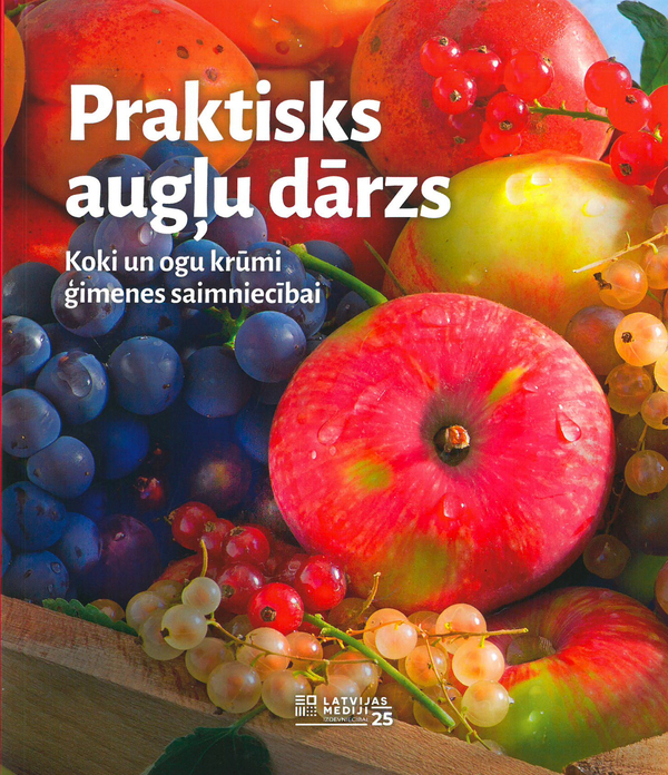 Dzirkstele.lv raksta attēla aizvietotājs