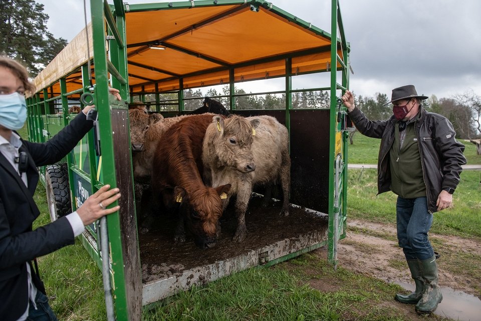 Dzirkstele.lv raksta attēla aizvietotājs