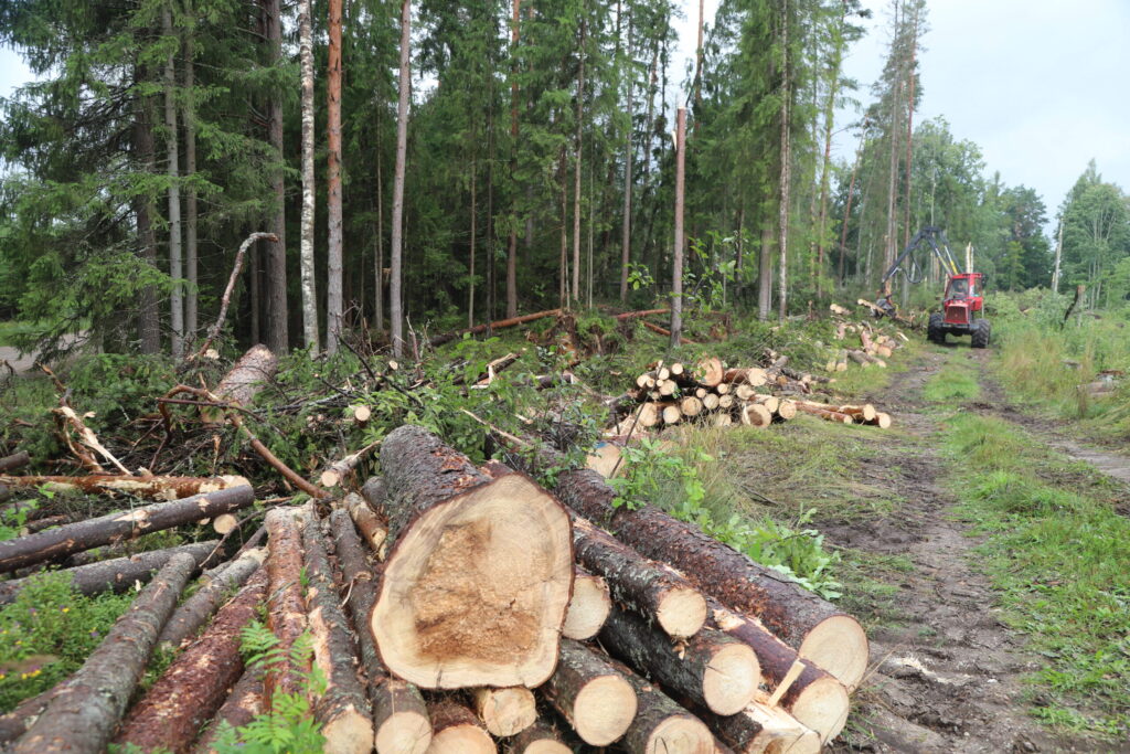 Dzirkstele.lv raksta attēla aizvietotājs
