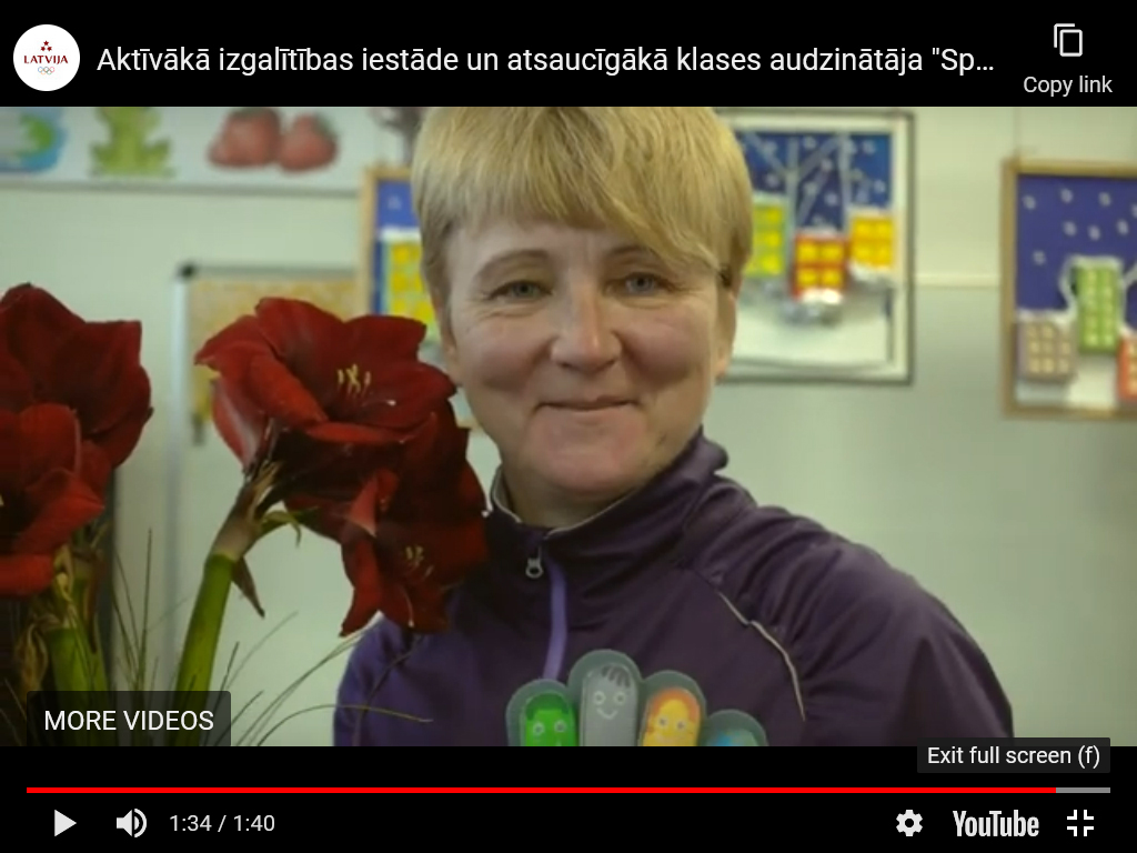 Dzirkstele.lv raksta attēla aizvietotājs