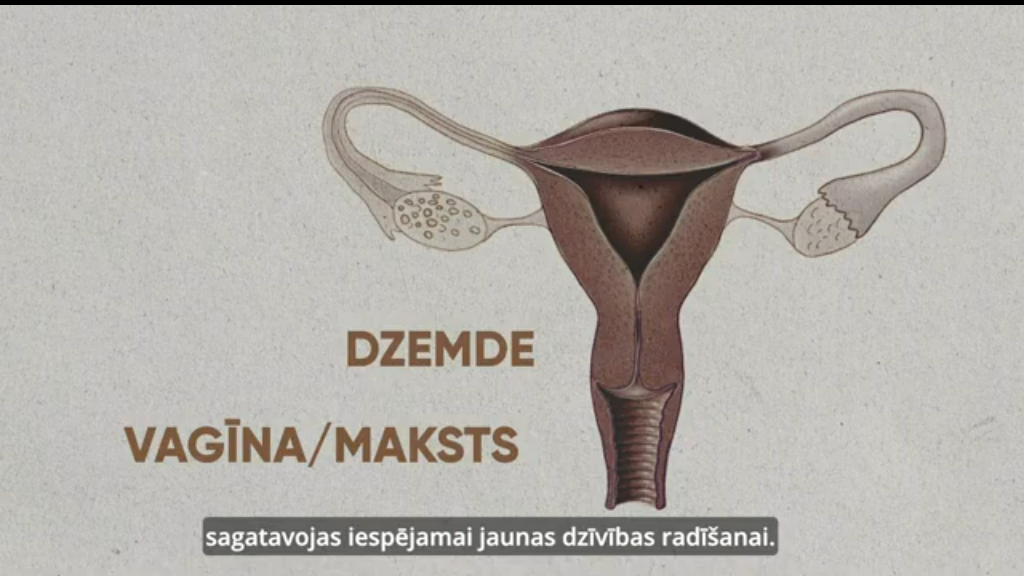 Dzirkstele.lv raksta attēla aizvietotājs