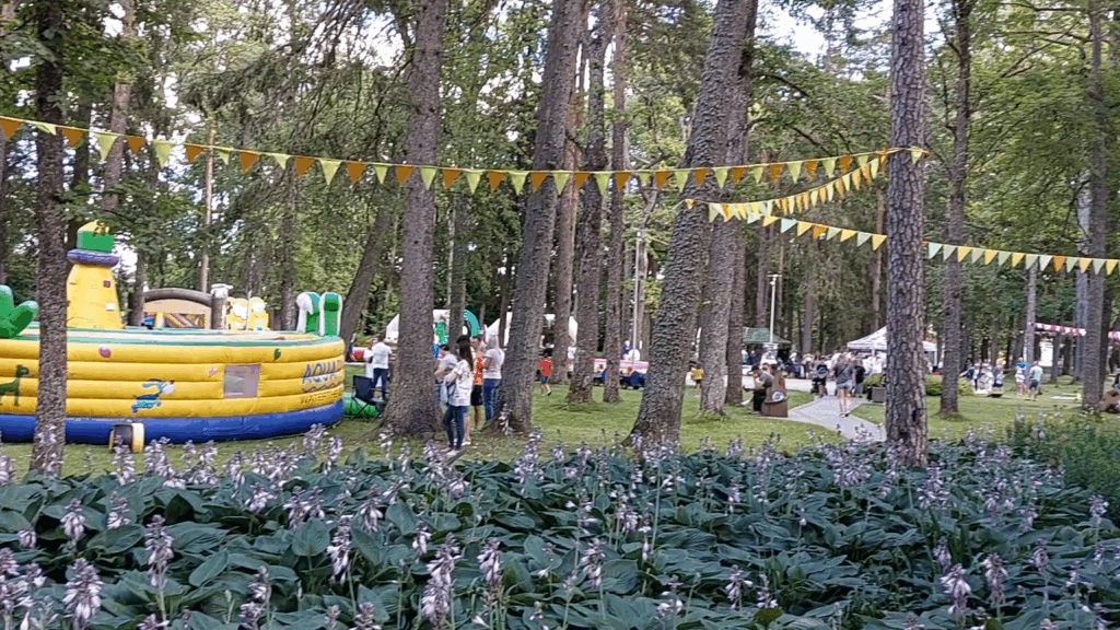 Dzirkstele.lv raksta attēla aizvietotājs