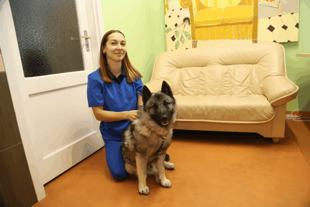 Dzirkstele.lv raksta attēla aizvietotājs