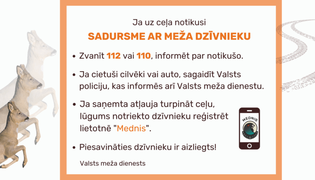 Dzirkstele.lv raksta attēla aizvietotājs