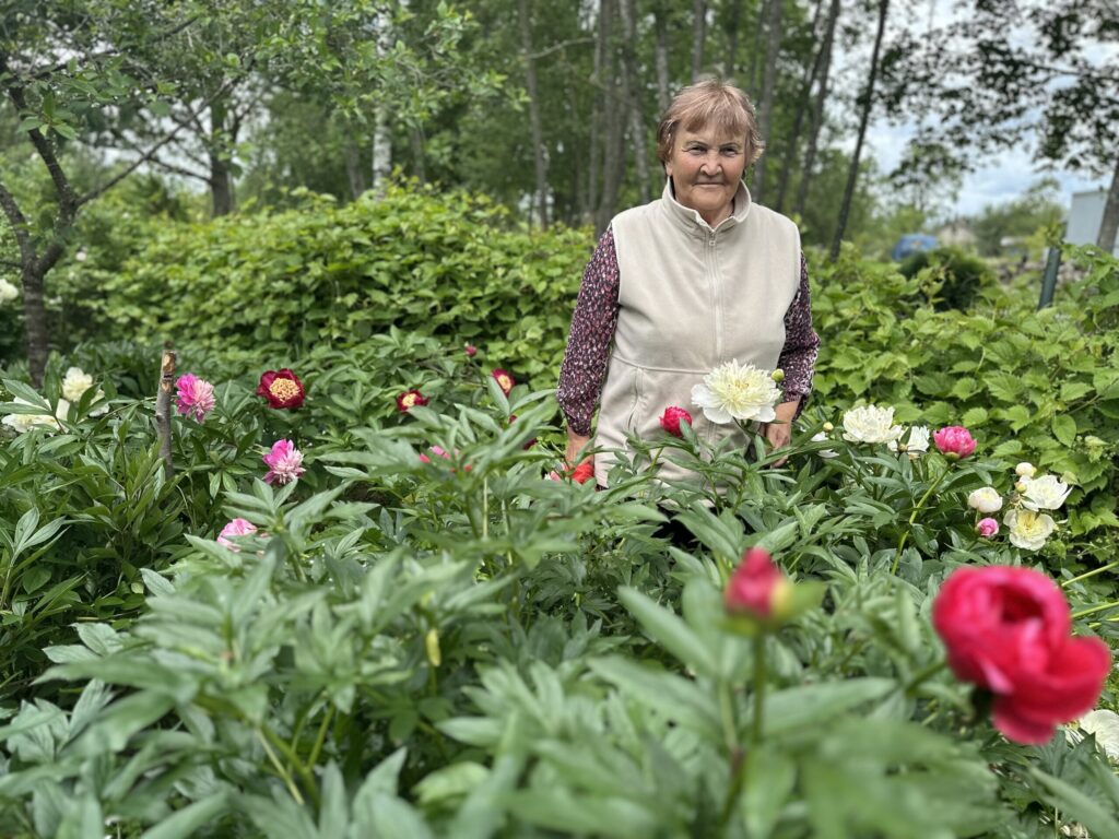 Dzirkstele.lv raksta attēla aizvietotājs