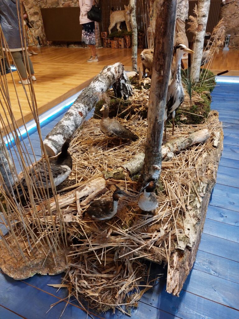 Autors: Foto: Pārsla Konrāde