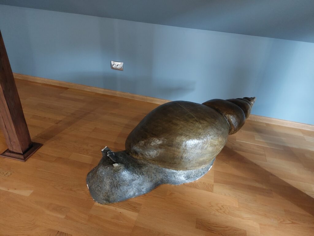 Autors: Foto: Pārsla Konrāde