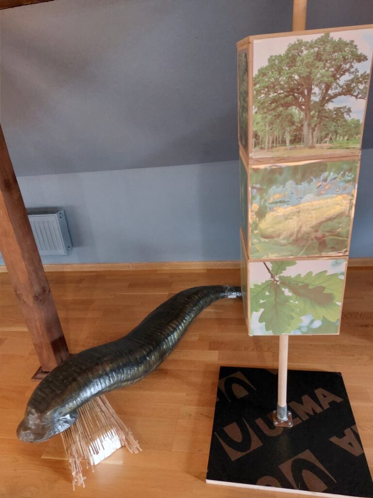 Autors: Foto: Pārsla Konrāde