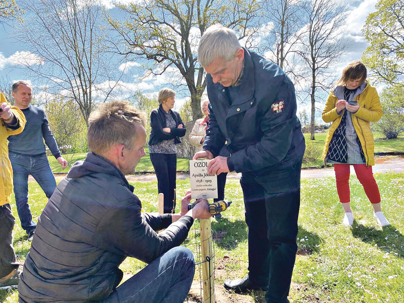 Dzirkstele.lv raksta attēla aizvietotājs