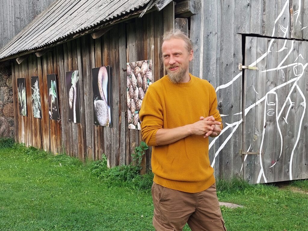 Dzirkstele.lv raksta attēla aizvietotājs