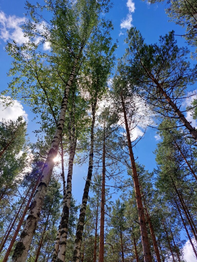 Dzirkstele.lv raksta attēla aizvietotājs