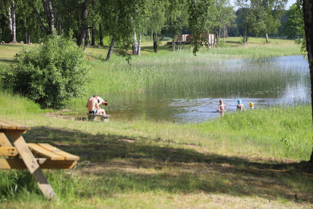 Dzirkstele.lv raksta attēla aizvietotājs