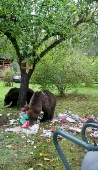 Dzirkstele.lv raksta attēla aizvietotājs