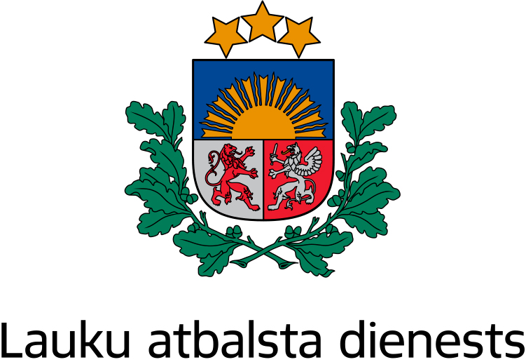 Dzirkstele.lv raksta attēla aizvietotājs