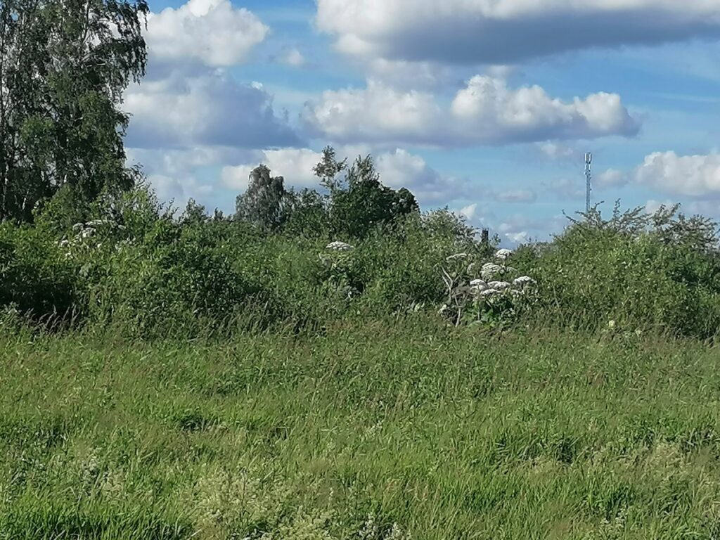 Dzirkstele.lv raksta attēla aizvietotājs