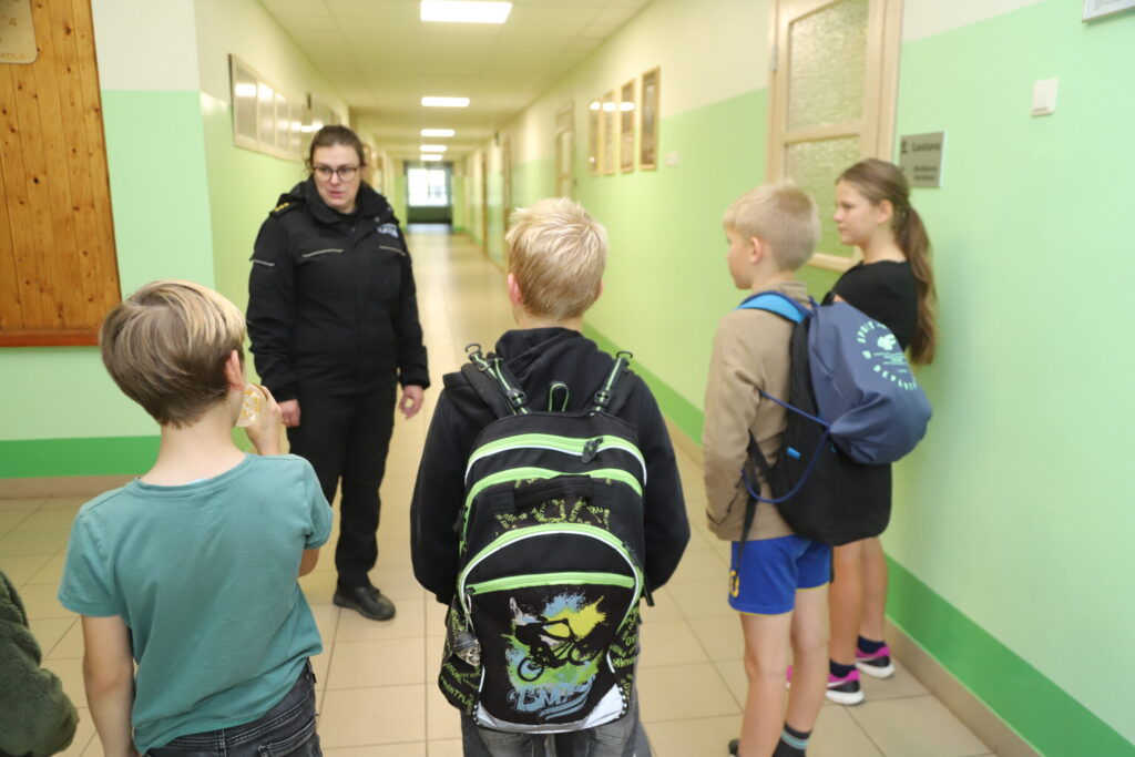 Dzirkstele.lv raksta attēla aizvietotājs