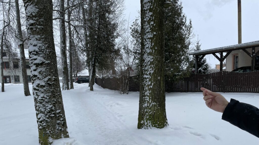 Dzirkstele.lv raksta attēla aizvietotājs