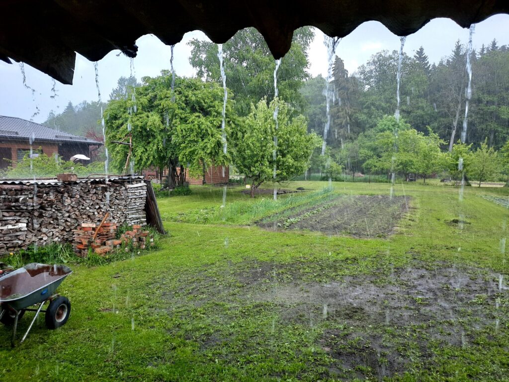 Dzirkstele.lv raksta attēla aizvietotājs