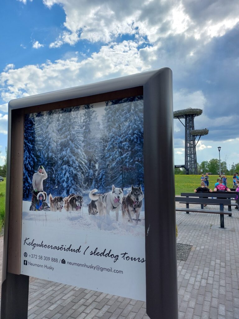 "Ligzdas koks".
Autors: Foto: Pārsla Konrāde