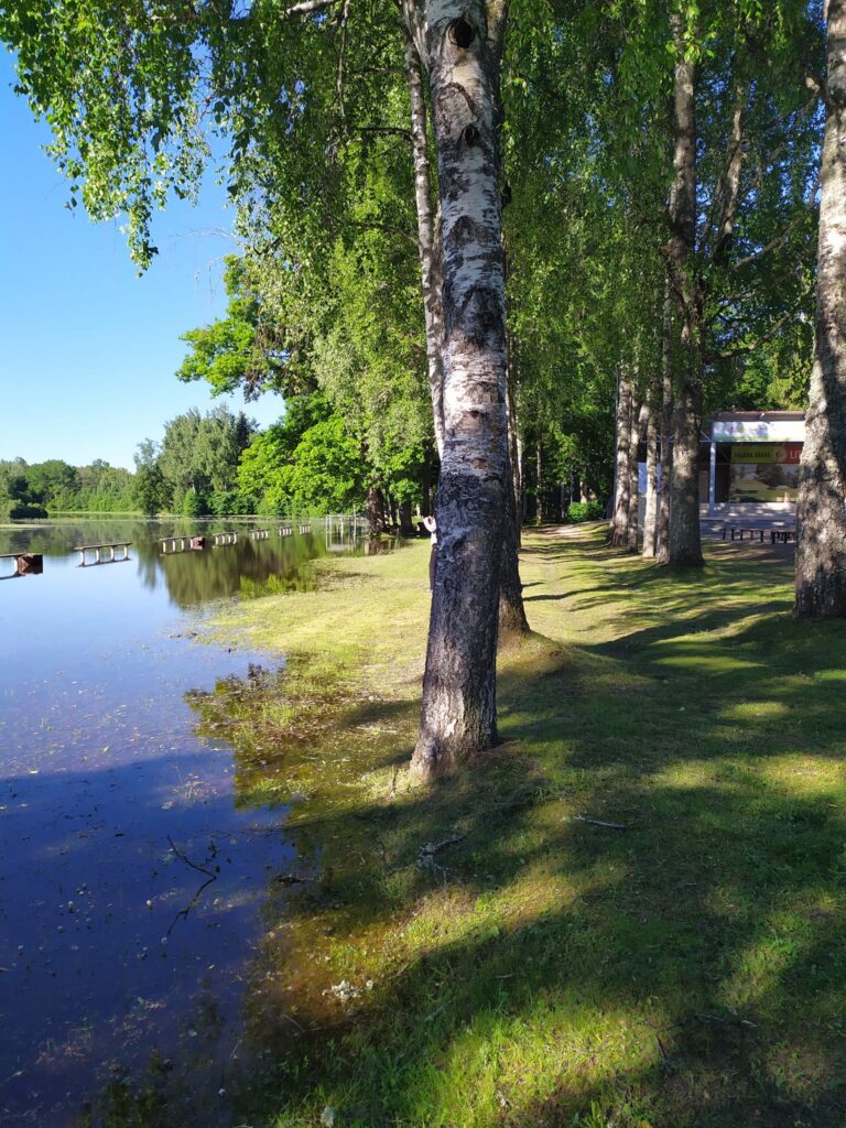 Dzirkstele.lv raksta attēla aizvietotājs