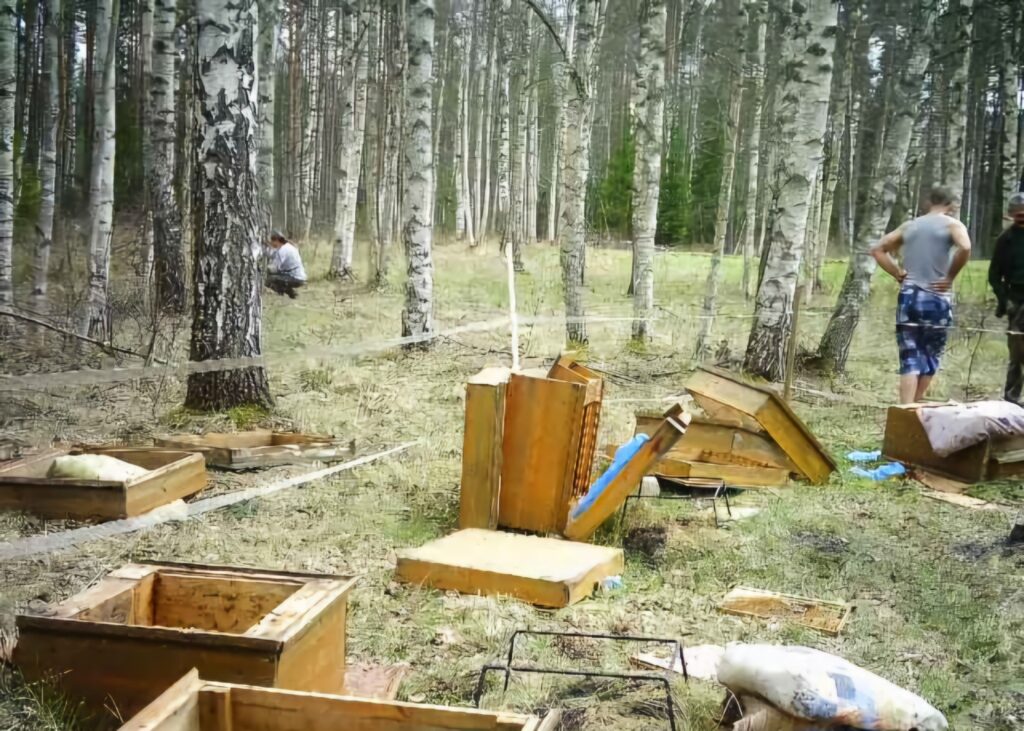 Dzirkstele.lv raksta attēla aizvietotājs