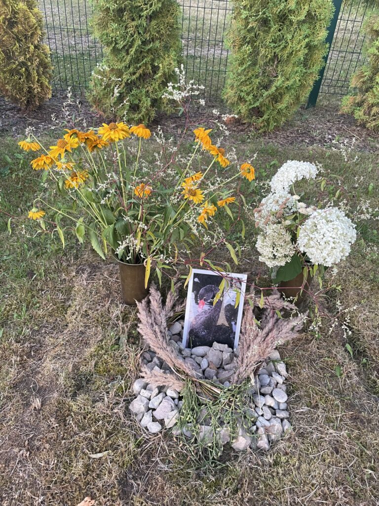 Dzirkstele.lv raksta attēla aizvietotājs