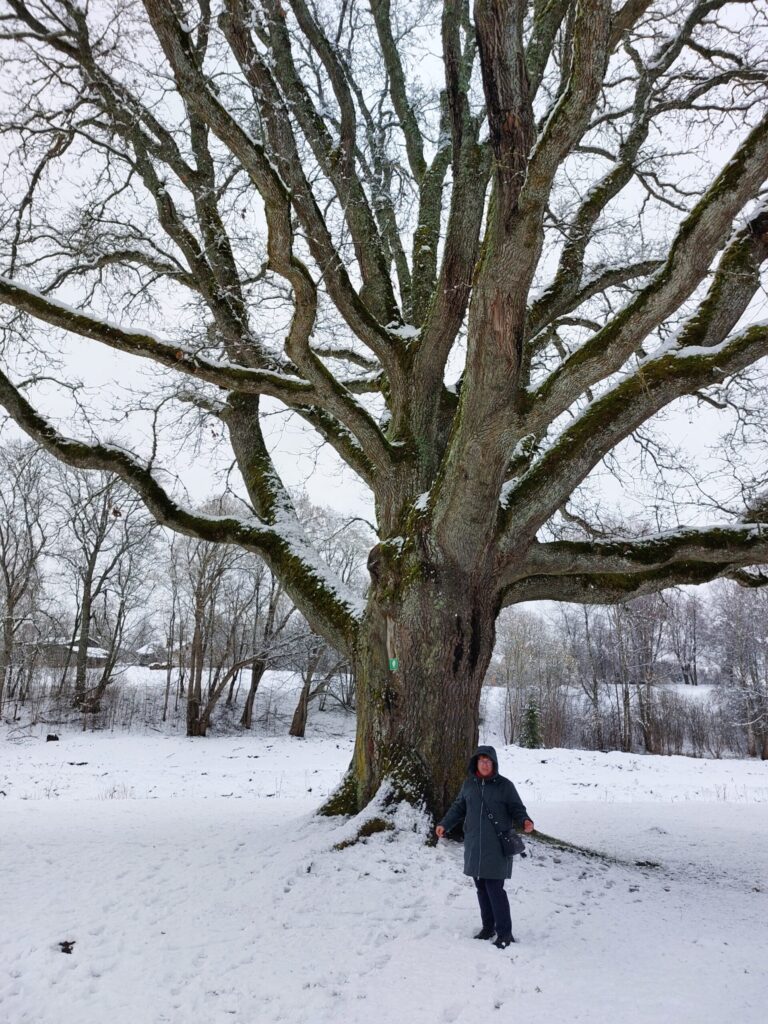 Autors: Foto: Pārsla Konrāde