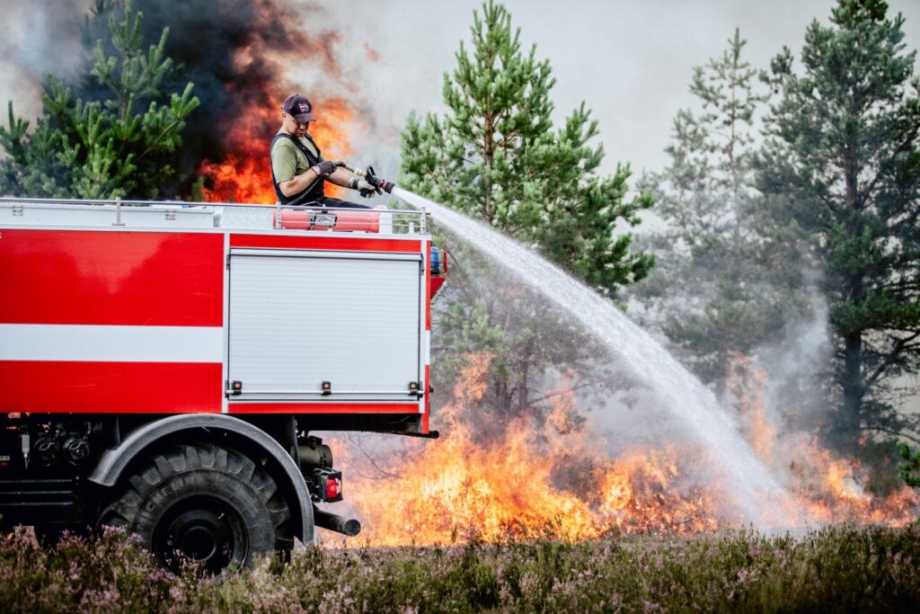 Dzirkstele.lv raksta attēla aizvietotājs