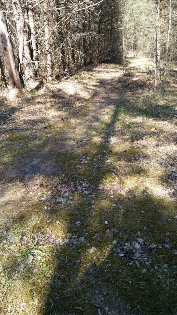 Mangaļsalas nocietinājumu teritorijā Rīgā pie Daugavas ietekas jūrā. Te bijušas dzelzceļa sliedes, tagad palikuši daži gulšņi.
Autors: Foto: Pārsla Konrāde
