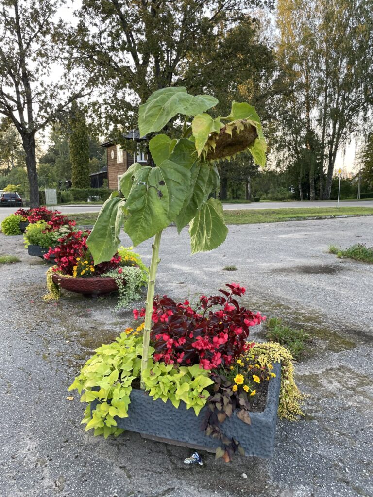 Dzirkstele.lv raksta attēla aizvietotājs