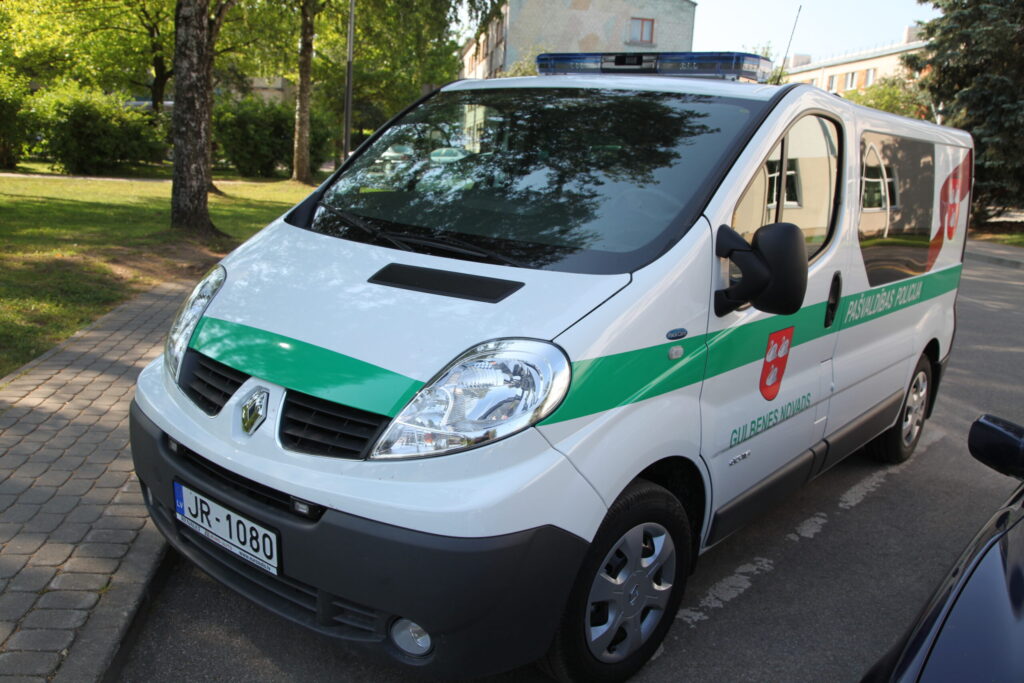 Dzirkstele.lv raksta attēla aizvietotājs