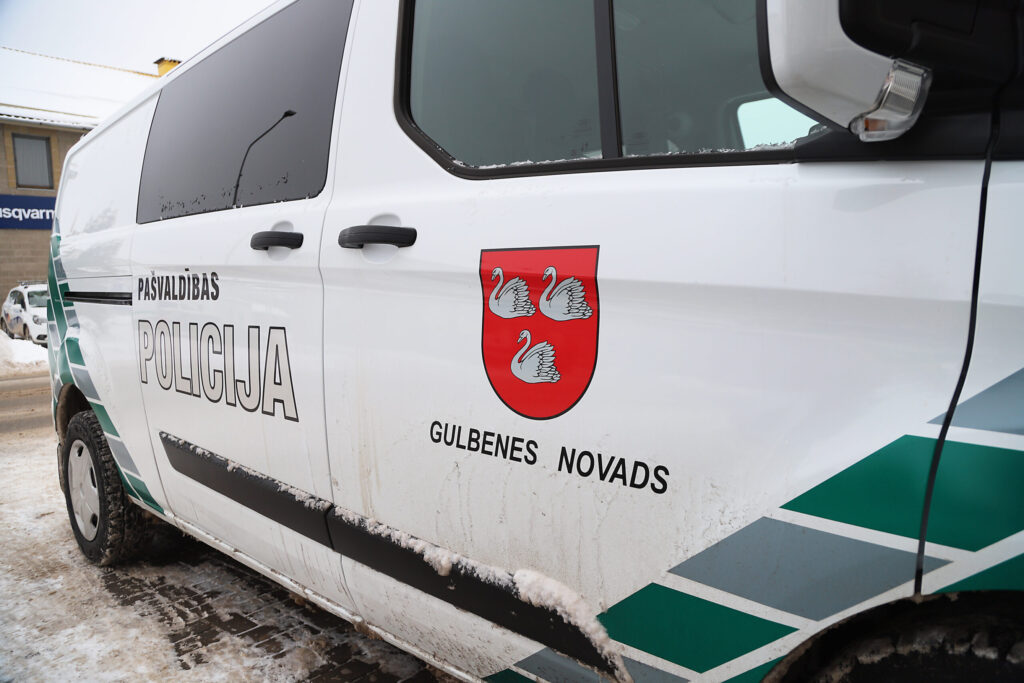 Dzirkstele.lv raksta attēla aizvietotājs