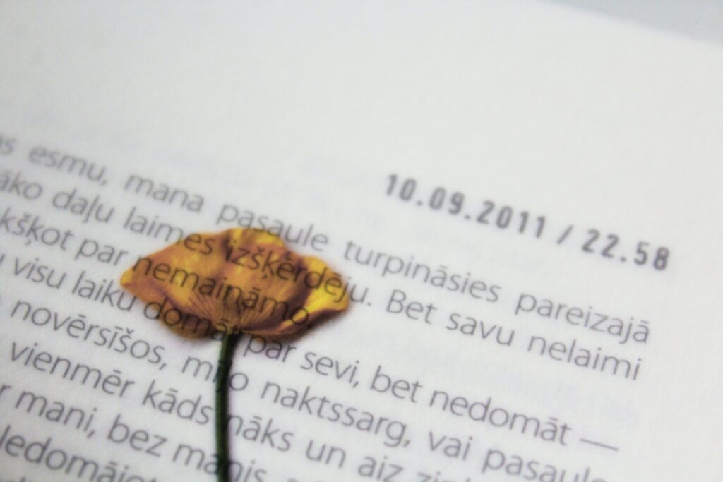 Dzirkstele.lv raksta attēla aizvietotājs