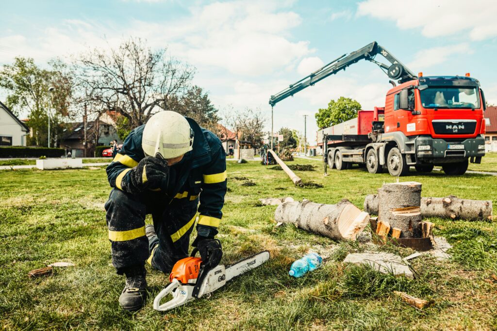 Dzirkstele.lv raksta attēla aizvietotājs