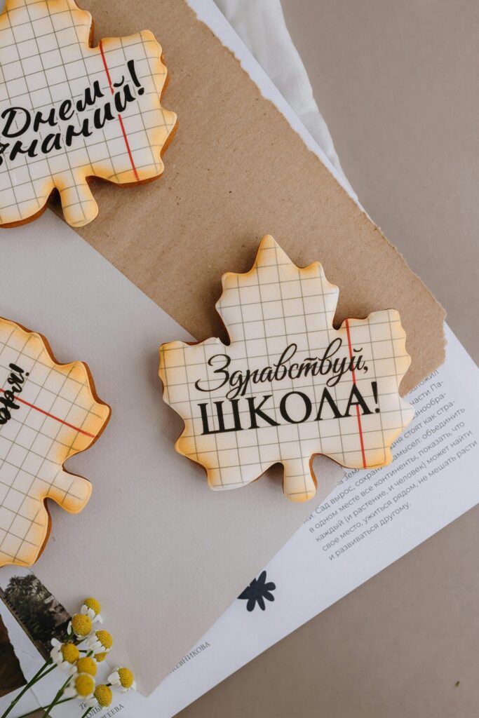 Dzirkstele.lv raksta attēla aizvietotājs