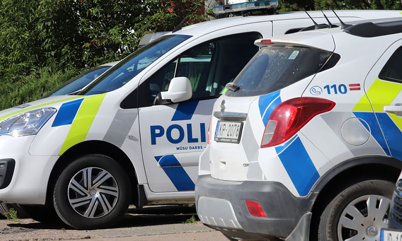Dzirkstele.lv raksta attēla aizvietotājs
