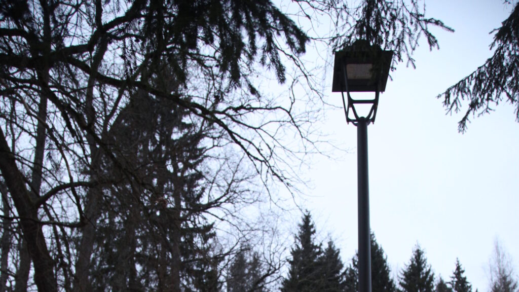 Dzirkstele.lv raksta attēla aizvietotājs