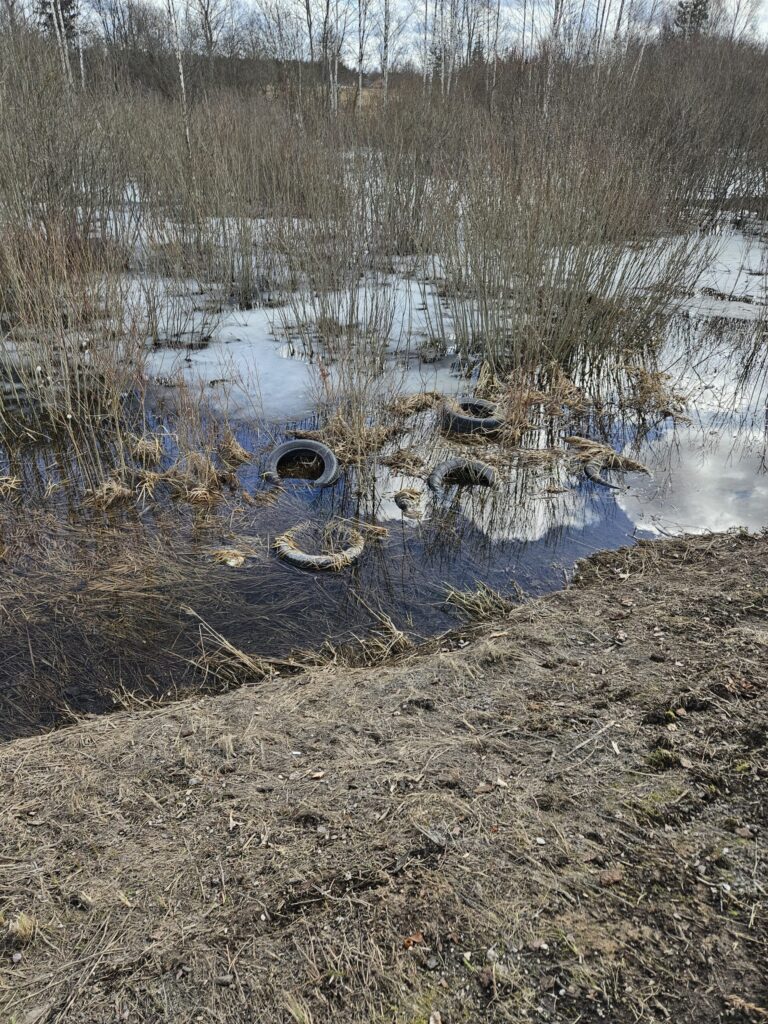 Dzirkstele.lv raksta attēla aizvietotājs