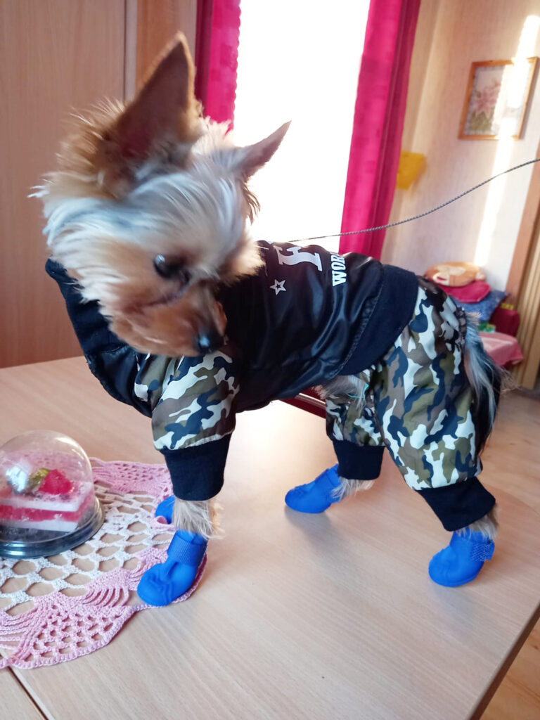 Autors: Foto: no privātā arhīva