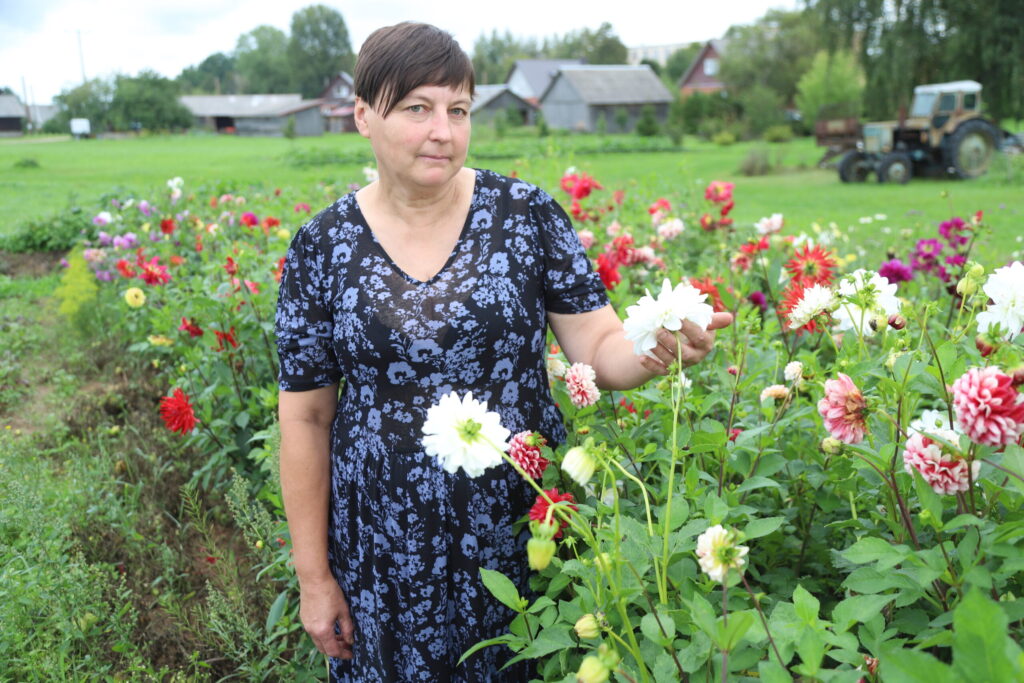 Dzirkstele.lv raksta attēla aizvietotājs