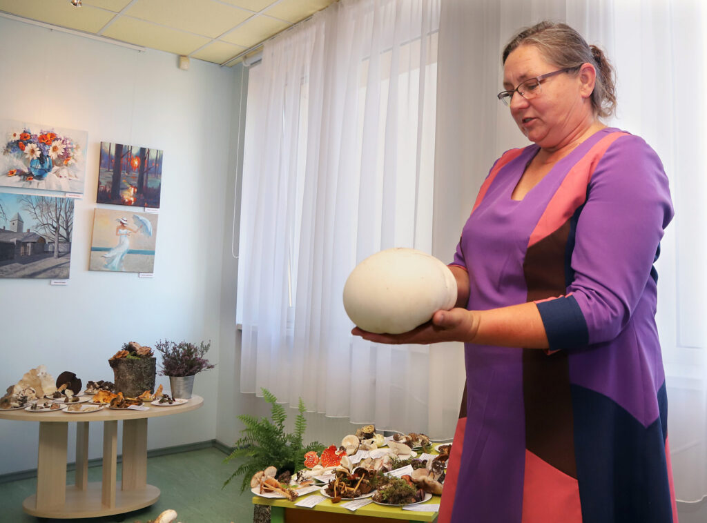 Dzirkstele.lv raksta attēla aizvietotājs