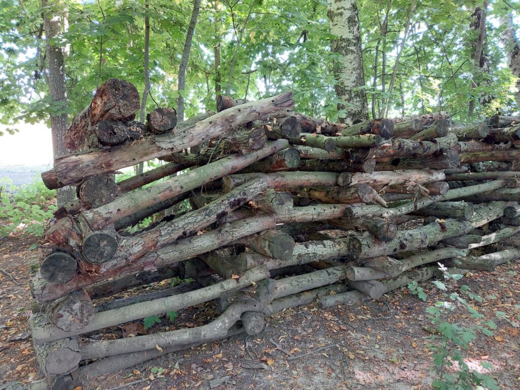 Autors: Foto: Pārsla Konrāde