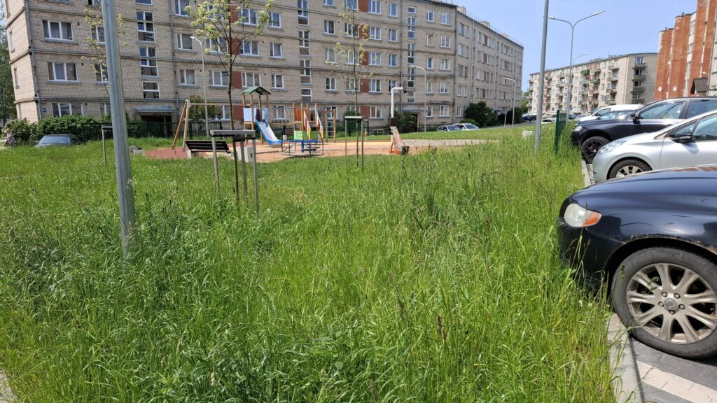 Dzirkstele.lv raksta attēla aizvietotājs