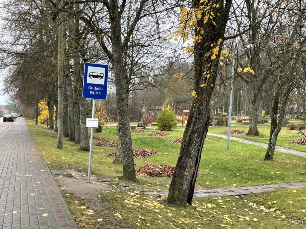 Dzirkstele.lv raksta attēla aizvietotājs