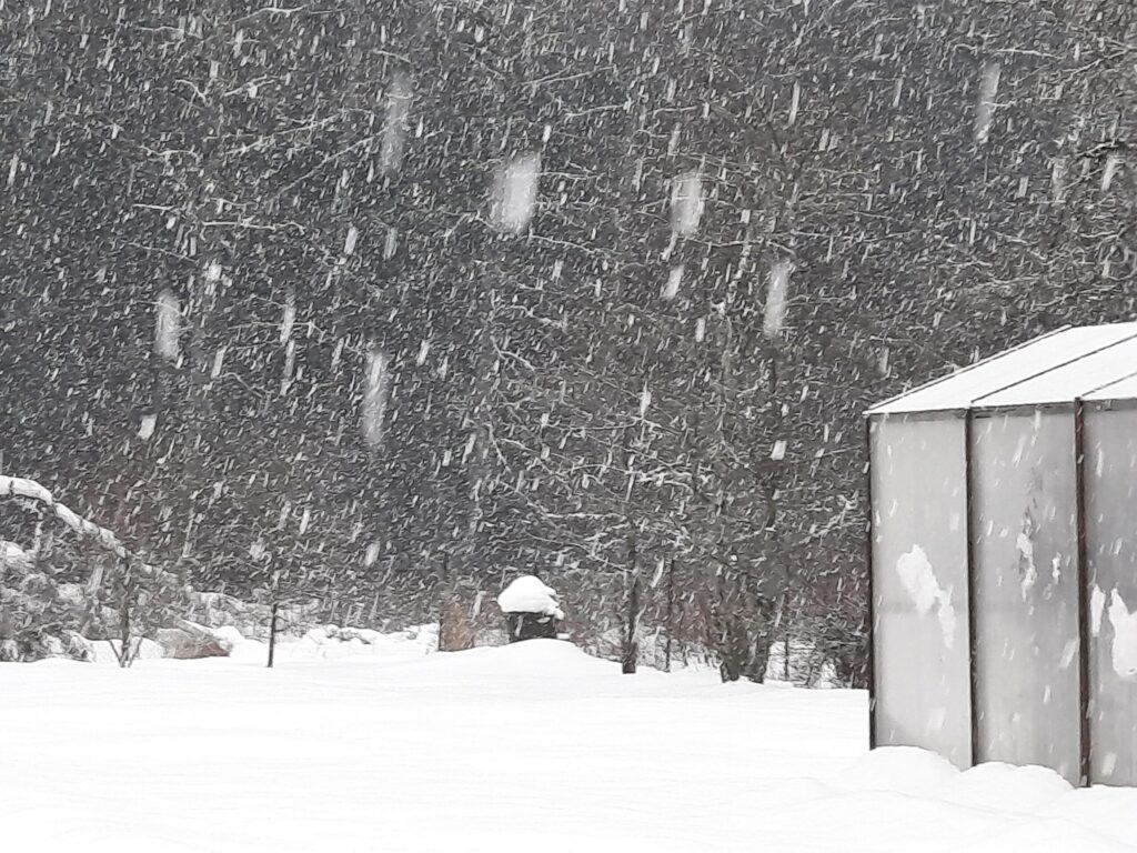 Dzirkstele.lv raksta attēla aizvietotājs