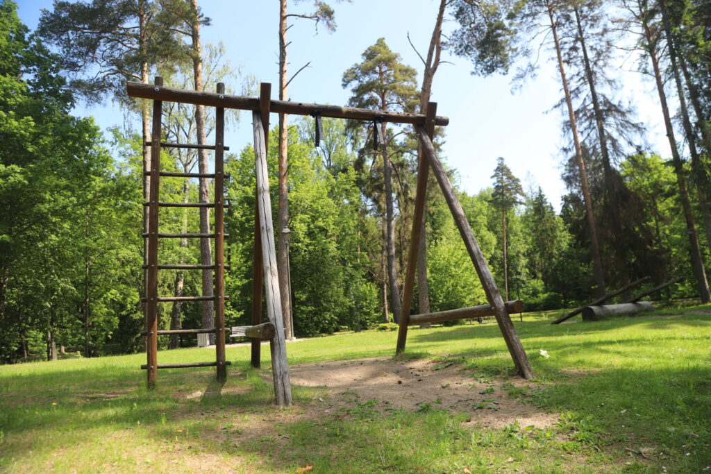Dzirkstele.lv raksta attēla aizvietotājs