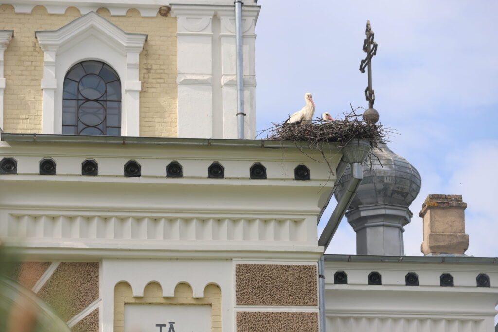 Dzirkstele.lv raksta attēla aizvietotājs