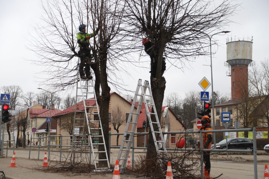 Dzirkstele.lv raksta attēla aizvietotājs