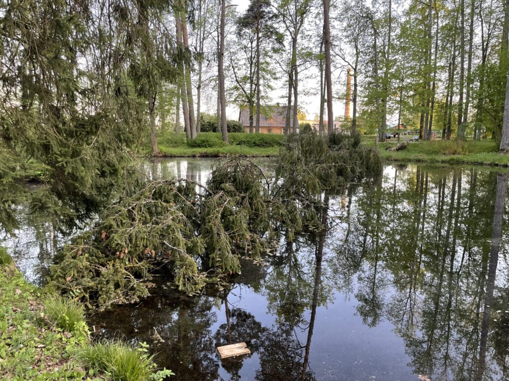 Dzirkstele.lv raksta attēla aizvietotājs